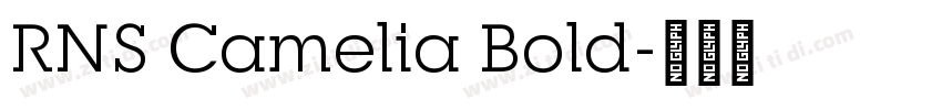 RNS Camelia Bold字体转换